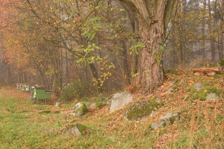 podzim vcelnice2022