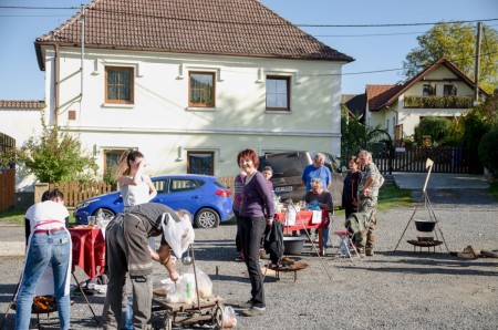 sekyrkova polevka 2019
