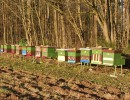 vcelnice 01023