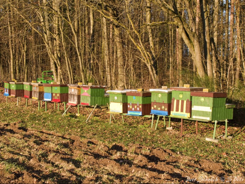 vcelnice 01023