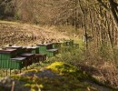 vcelnice 01 2023
